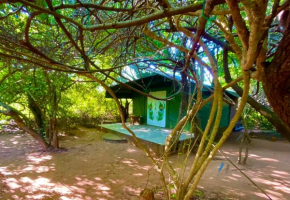 Yala Podi Hoona Bush Camp